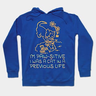 I'm Paw-sitive I was a cat in a previous life Hoodie